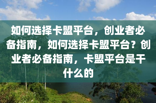 如何选择卡盟平台，创业者必备指南，如何选择卡盟平台？创业者必备指南，卡盟平台是干什么的