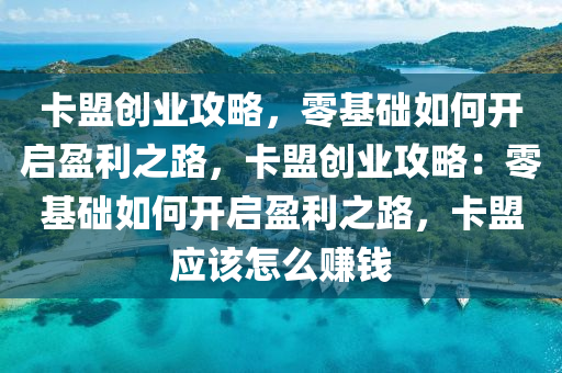 卡盟创业攻略，零基础如何开启盈利之路，卡盟创业攻略：零基础如何开启盈利之路，卡盟应该怎么赚钱