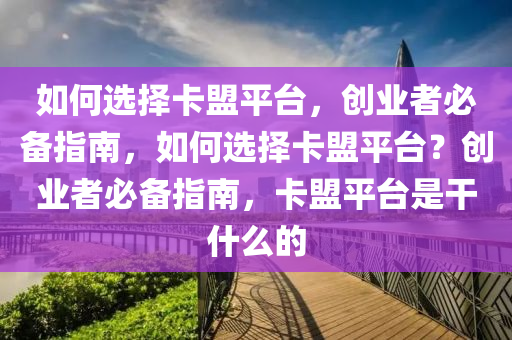 如何选择卡盟平台，创业者必备指南，如何选择卡盟平台？创业者必备指南，卡盟平台是干什么的