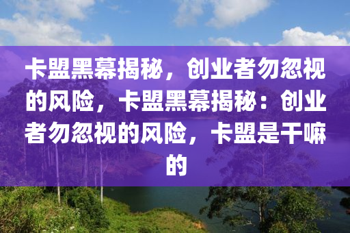 卡盟黑幕揭秘，创业者勿忽视的风险，卡盟黑幕揭秘：创业者勿忽视的风险，卡盟是干嘛的