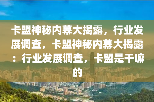 卡盟神秘内幕大揭露，行业发展调查，卡盟神秘内幕大揭露：行业发展调查，卡盟是干嘛的