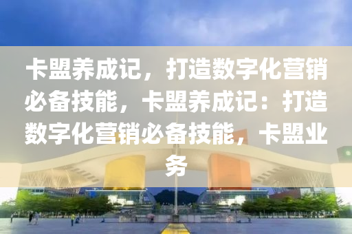 卡盟养成记，打造数字化营销必备技能，卡盟养成记：打造数字化营销必备技能，卡盟业务