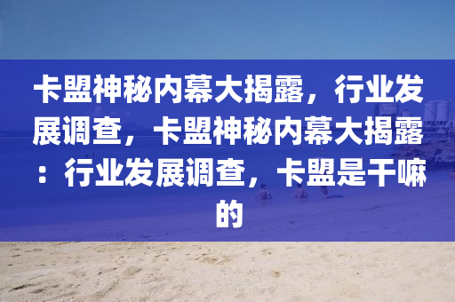 卡盟神秘内幕大揭露，行业发展调查，卡盟神秘内幕大揭露：行业发展调查，卡盟是干嘛的