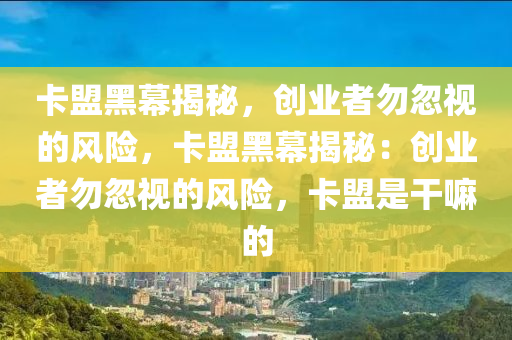 卡盟黑幕揭秘，创业者勿忽视的风险，卡盟黑幕揭秘：创业者勿忽视的风险，卡盟是干嘛的
