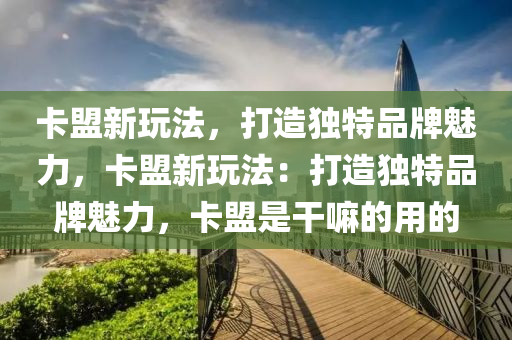 卡盟新玩法，打造独特品牌魅力，卡盟新玩法：打造独特品牌魅力，卡盟是干嘛的用的