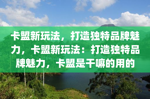 卡盟新玩法，打造独特品牌魅力，卡盟新玩法：打造独特品牌魅力，卡盟是干嘛的用的