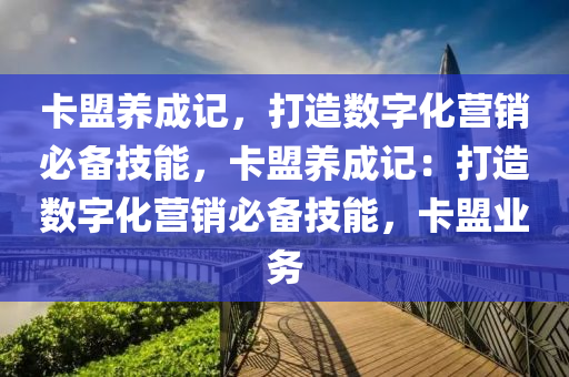 卡盟养成记，打造数字化营销必备技能，卡盟养成记：打造数字化营销必备技能，卡盟业务