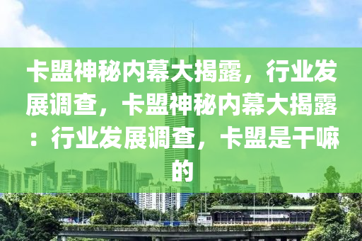 卡盟神秘内幕大揭露，行业发展调查，卡盟神秘内幕大揭露：行业发展调查，卡盟是干嘛的