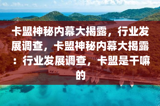 卡盟神秘内幕大揭露，行业发展调查，卡盟神秘内幕大揭露：行业发展调查，卡盟是干嘛的