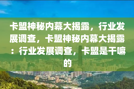 卡盟神秘内幕大揭露，行业发展调查，卡盟神秘内幕大揭露：行业发展调查，卡盟是干嘛的