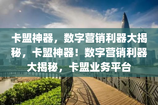 卡盟神器，数字营销利器大揭秘，卡盟神器！数字营销利器大揭秘，卡盟业务平台