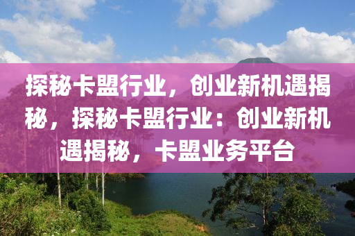 探秘卡盟行业，创业新机遇揭秘，探秘卡盟行业：创业新机遇揭秘，卡盟业务平台