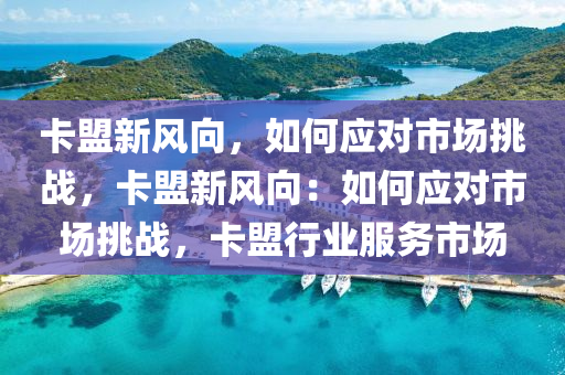 卡盟新风向，如何应对市场挑战，卡盟新风向：如何应对市场挑战，卡盟行业服务市场