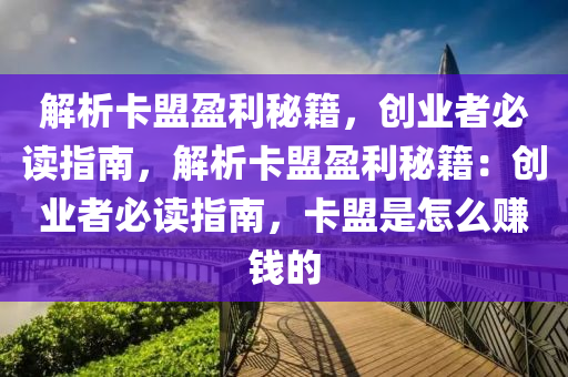 解析卡盟盈利秘籍，创业者必读指南，解析卡盟盈利秘籍：创业者必读指南，卡盟是怎么赚钱的