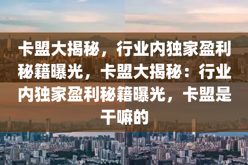 卡盟大揭秘，行业内独家盈利秘籍曝光，卡盟大揭秘：行业内独家盈利秘籍曝光，卡盟是干嘛的