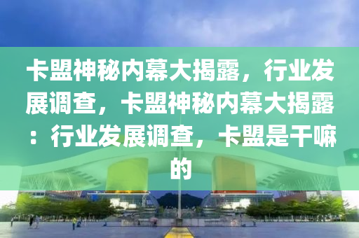 卡盟神秘内幕大揭露，行业发展调查，卡盟神秘内幕大揭露：行业发展调查，卡盟是干嘛的