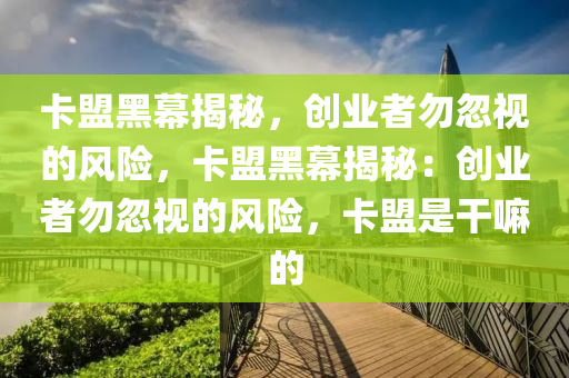 卡盟黑幕揭秘，创业者勿忽视的风险，卡盟黑幕揭秘：创业者勿忽视的风险，卡盟是干嘛的