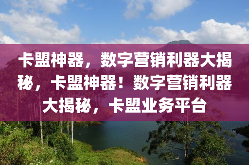 卡盟神器，数字营销利器大揭秘，卡盟神器！数字营销利器大揭秘，卡盟业务平台