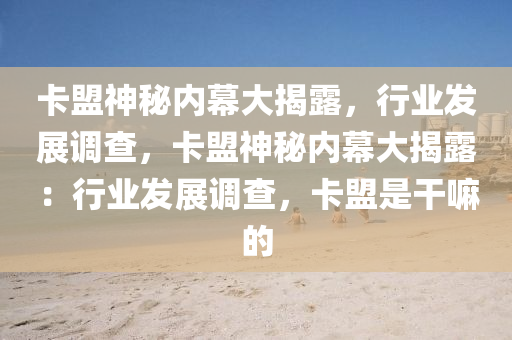 卡盟神秘内幕大揭露，行业发展调查，卡盟神秘内幕大揭露：行业发展调查，卡盟是干嘛的
