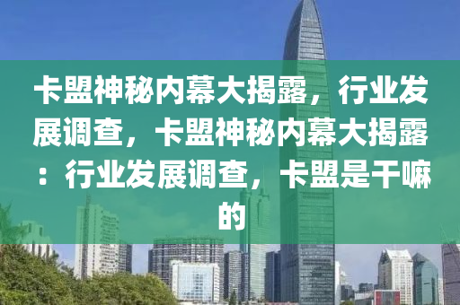 卡盟神秘内幕大揭露，行业发展调查，卡盟神秘内幕大揭露：行业发展调查，卡盟是干嘛的