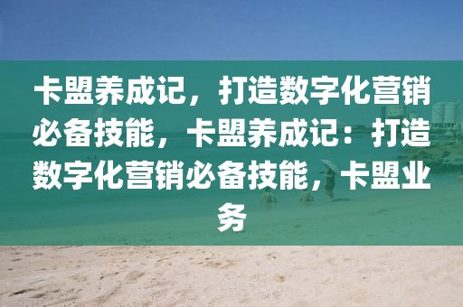 卡盟养成记，打造数字化营销必备技能，卡盟养成记：打造数字化营销必备技能，卡盟业务