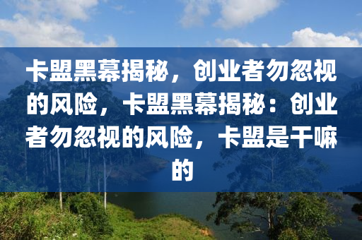 卡盟黑幕揭秘，创业者勿忽视的风险，卡盟黑幕揭秘：创业者勿忽视的风险，卡盟是干嘛的