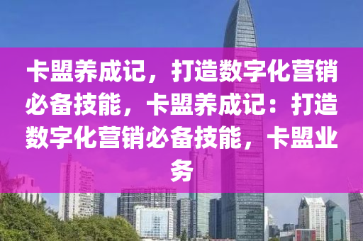 卡盟养成记，打造数字化营销必备技能，卡盟养成记：打造数字化营销必备技能，卡盟业务