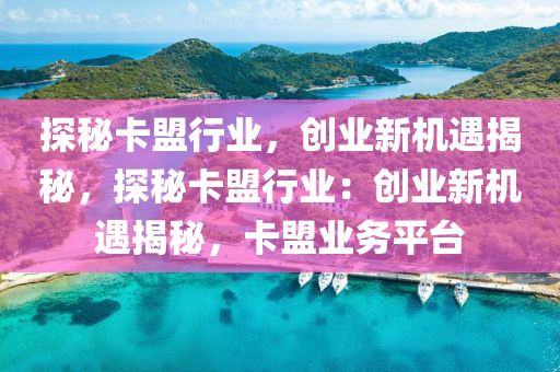 探秘卡盟行业，创业新机遇揭秘，探秘卡盟行业：创业新机遇揭秘，卡盟业务平台