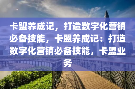 卡盟养成记，打造数字化营销必备技能，卡盟养成记：打造数字化营销必备技能，卡盟业务