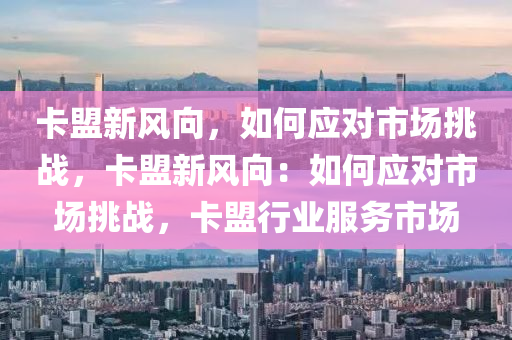 卡盟新风向，如何应对市场挑战，卡盟新风向：如何应对市场挑战，卡盟行业服务市场