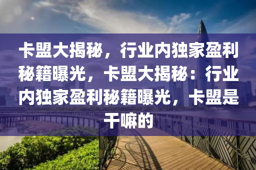 卡盟大揭秘，行业内独家盈利秘籍曝光，卡盟大揭秘：行业内独家盈利秘籍曝光，卡盟是干嘛的