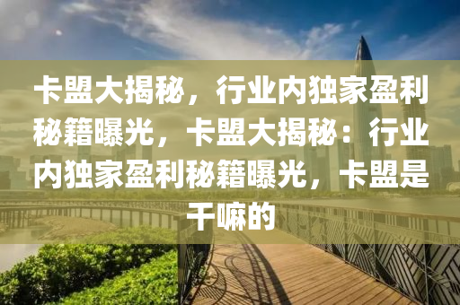 卡盟大揭秘，行业内独家盈利秘籍曝光，卡盟大揭秘：行业内独家盈利秘籍曝光，卡盟是干嘛的