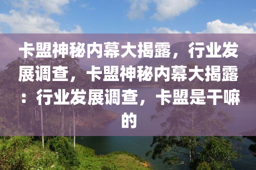 卡盟神秘内幕大揭露，行业发展调查，卡盟神秘内幕大揭露：行业发展调查，卡盟是干嘛的