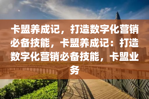 卡盟养成记，打造数字化营销必备技能，卡盟养成记：打造数字化营销必备技能，卡盟业务