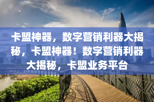卡盟神器，数字营销利器大揭秘，卡盟神器！数字营销利器大揭秘，卡盟业务平台