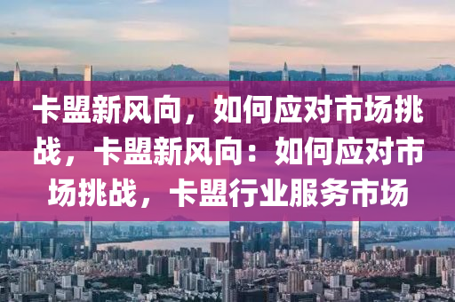 卡盟新风向，如何应对市场挑战，卡盟新风向：如何应对市场挑战，卡盟行业服务市场