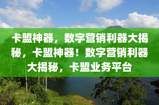 卡盟神器，数字营销利器大揭秘，卡盟神器！数字营销利器大揭秘，卡盟业务平台