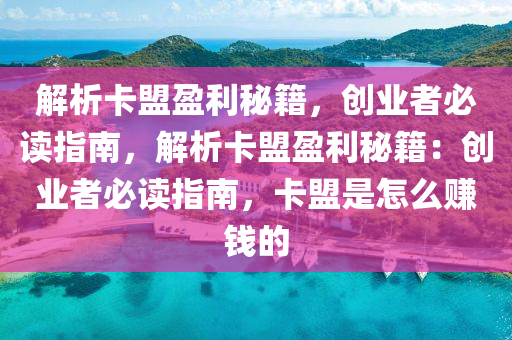 解析卡盟盈利秘籍，创业者必读指南，解析卡盟盈利秘籍：创业者必读指南，卡盟是怎么赚钱的