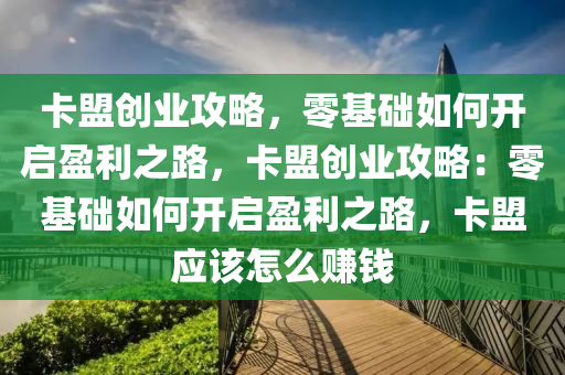 卡盟创业攻略，零基础如何开启盈利之路，卡盟创业攻略：零基础如何开启盈利之路，卡盟应该怎么赚钱