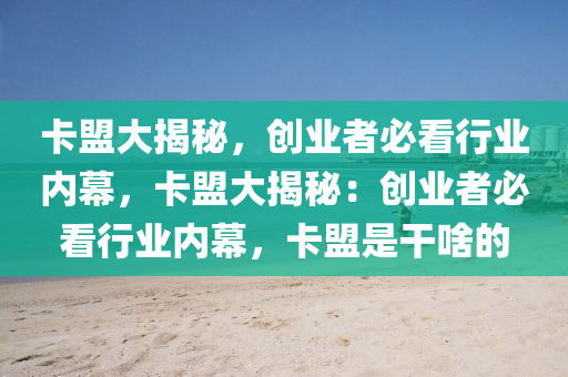 卡盟大揭秘，创业者必看行业内幕，卡盟大揭秘：创业者必看行业内幕，卡盟是干啥的