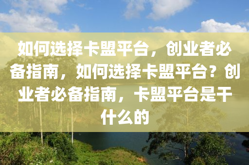 如何选择卡盟平台，创业者必备指南，如何选择卡盟平台？创业者必备指南，卡盟平台是干什么的