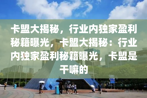 卡盟大揭秘，行业内独家盈利秘籍曝光，卡盟大揭秘：行业内独家盈利秘籍曝光，卡盟是干嘛的