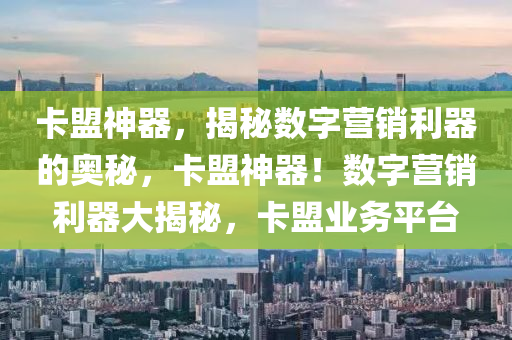 卡盟神器，揭秘数字营销利器的奥秘，卡盟神器！数字营销利器大揭秘，卡盟业务平台