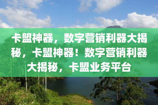 卡盟神器，数字营销利器大揭秘，卡盟神器！数字营销利器大揭秘，卡盟业务平台