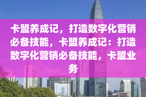 卡盟养成记，打造数字化营销必备技能，卡盟养成记：打造数字化营销必备技能，卡盟业务