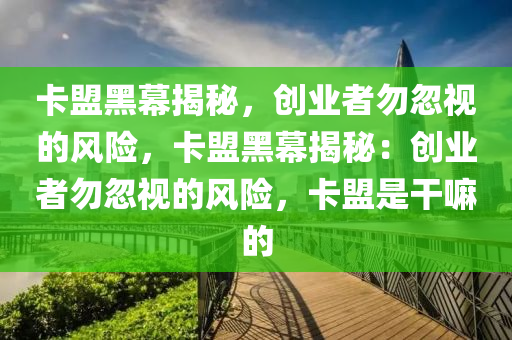 卡盟黑幕揭秘，创业者勿忽视的风险，卡盟黑幕揭秘：创业者勿忽视的风险，卡盟是干嘛的