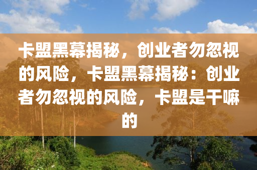 卡盟黑幕揭秘，创业者勿忽视的风险，卡盟黑幕揭秘：创业者勿忽视的风险，卡盟是干嘛的