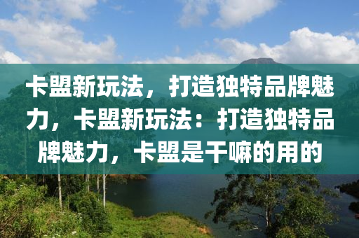 卡盟新玩法，打造独特品牌魅力，卡盟新玩法：打造独特品牌魅力，卡盟是干嘛的用的