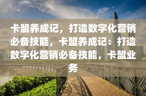 卡盟养成记，打造数字化营销必备技能，卡盟养成记：打造数字化营销必备技能，卡盟业务