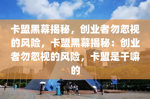 卡盟黑幕揭秘，创业者勿忽视的风险，卡盟黑幕揭秘：创业者勿忽视的风险，卡盟是干嘛的
